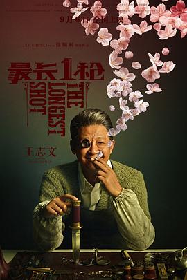 《3d铺团之极宝乐鉴》主视觉海报